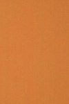 Colour-Plank-95675-q117am1ncyoylku589n3edjc84eranmqob80d8ongw