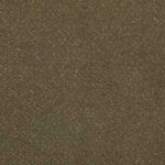 Fortesse-New-40-150x150